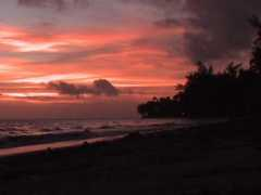 scubadrewvideo.com Pinau