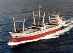 navymar.com Pinazo