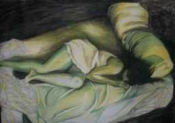 artistasdelatierra.com Pincen