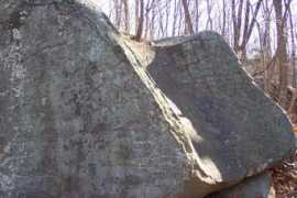 ydtalk.com Pinchot