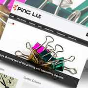 emanuelesala.com Pinci