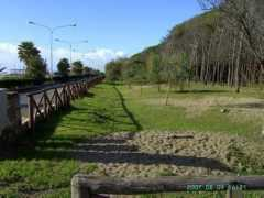 panoramio.com Pineta
