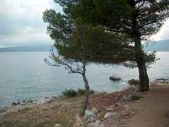 panoramio.com Pinezic