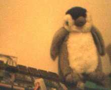 tgnard.free.fr Pingus