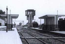 signalbox.org Pinhal