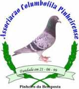 columbofilia.net Pinheirense