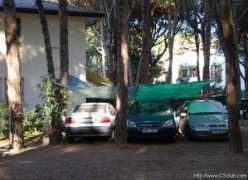 c5club.cz Pinie