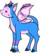 neopets.com Pinini