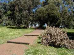 nachohat.org Pinjarra