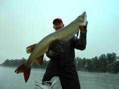 peyersparadise.com Pinkalla