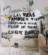 pitodoble.com Pintada