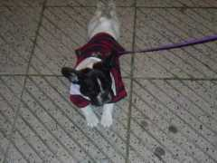 fotolog.com Pintas