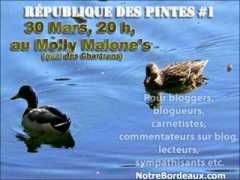 influenceurs.net Pintes