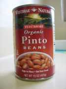 suburbandestiny.com Pintos
