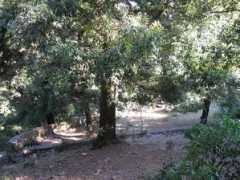 panoramio.com Pinzone
