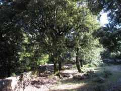 panoramio.com Pinzone