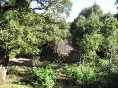 panoramio.com Pinzone
