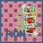 Pion