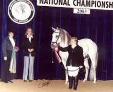 lusitano-interagro.com Pioneiro