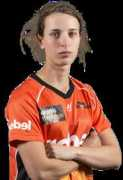 cricket.com.au Piparo