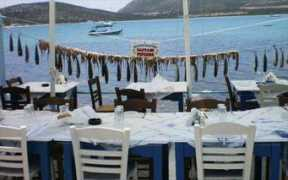 clickatlife.gr Pipinos