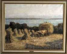 Pippel