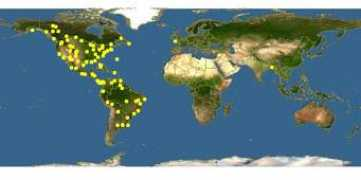 discoverlife.org Piranga