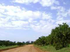 panoramio.com Pirassununga