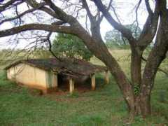 panoramio.com Pirassununga