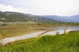 panoramio.com Pirinc