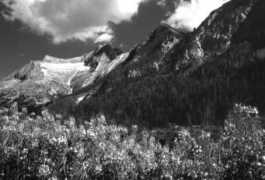 fotonatura.org Pirineos