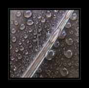 photoextract.com Pirko