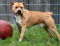 couch-gesucht.de Pirm