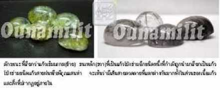 ounamilit.com Piroon