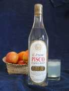Pisco