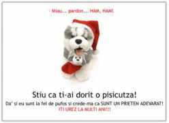 e-scoala.ro Pisicutza