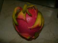 organicallycooked.com Pitahaya