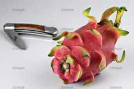 zoonar.com Pitahaya