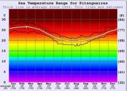 surf-forecast.com Pitangueiras