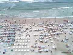 imagewa.com Pitangueiras