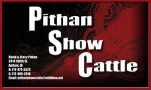 showsteers.com Pithan