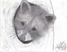 artwanted.com Pitner