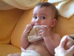 elisechohan.co.uk Pitta