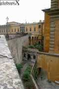 Pitti