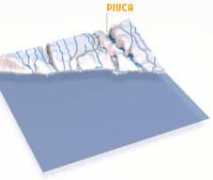 Piuca