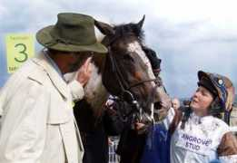 angrovestud.com Placed