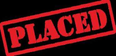 targetexecutivesearch.com Placed