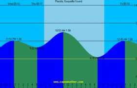 capeweather.com Placida