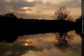 photo-paysage.com Placides