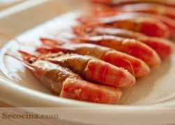 secocina.com Plancha